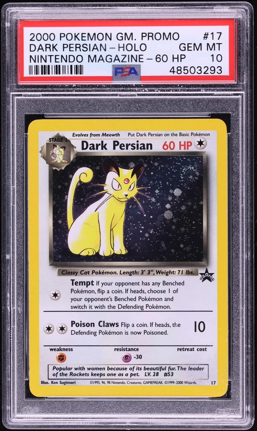 Dark Persian