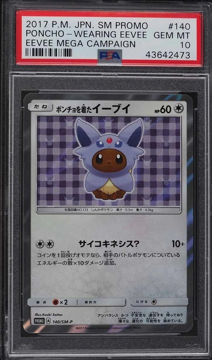 Poncho-Wearing Eevee