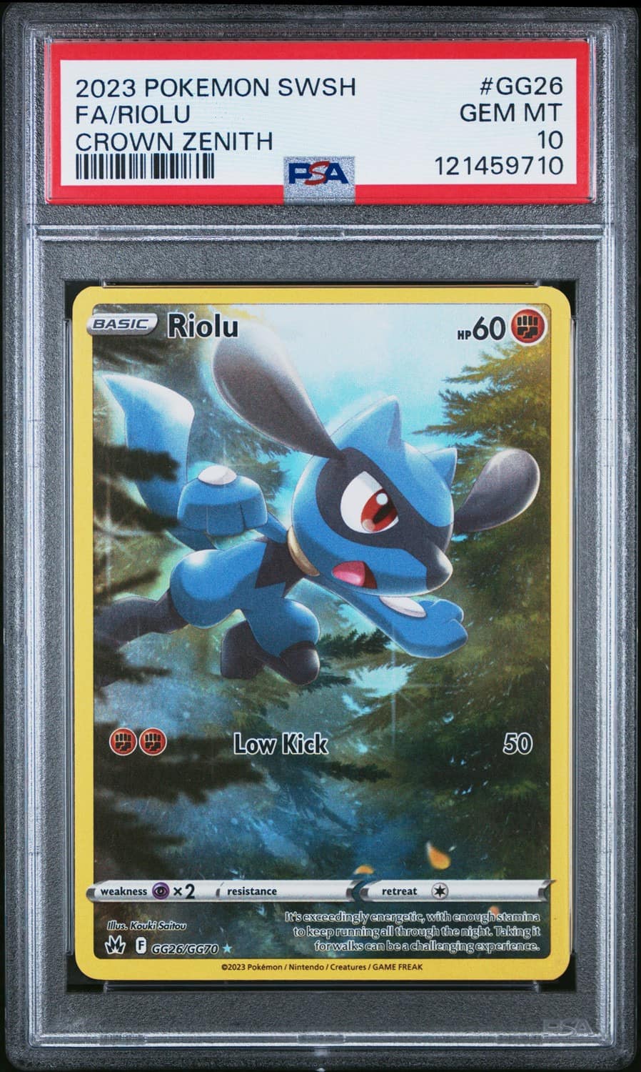 Riolu