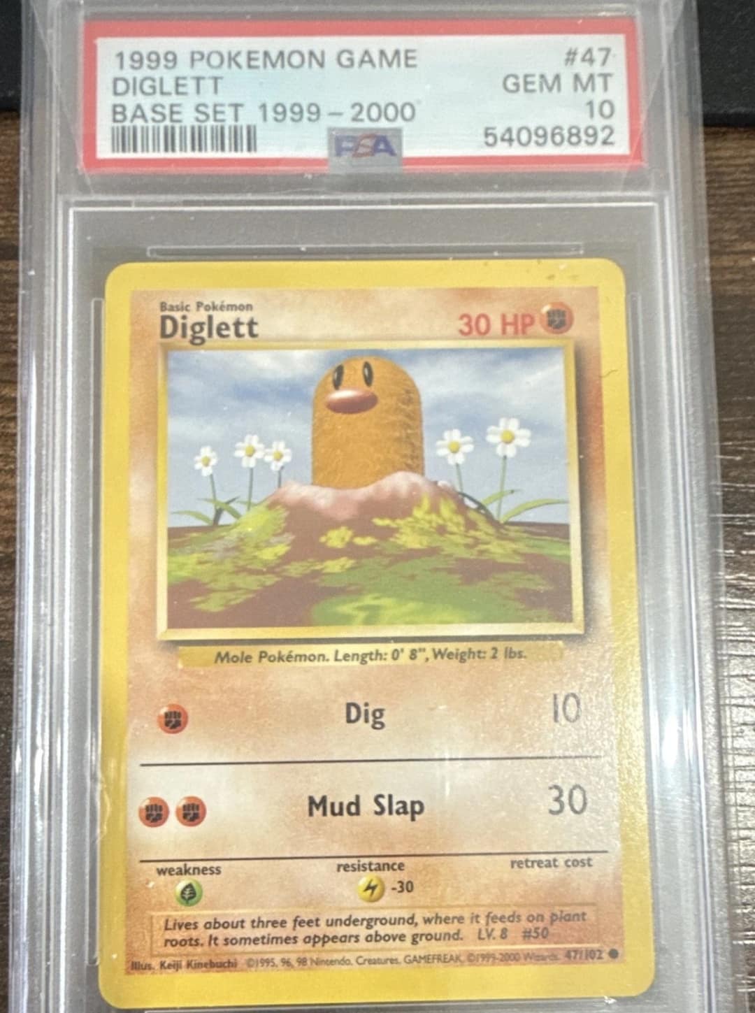 Diglett