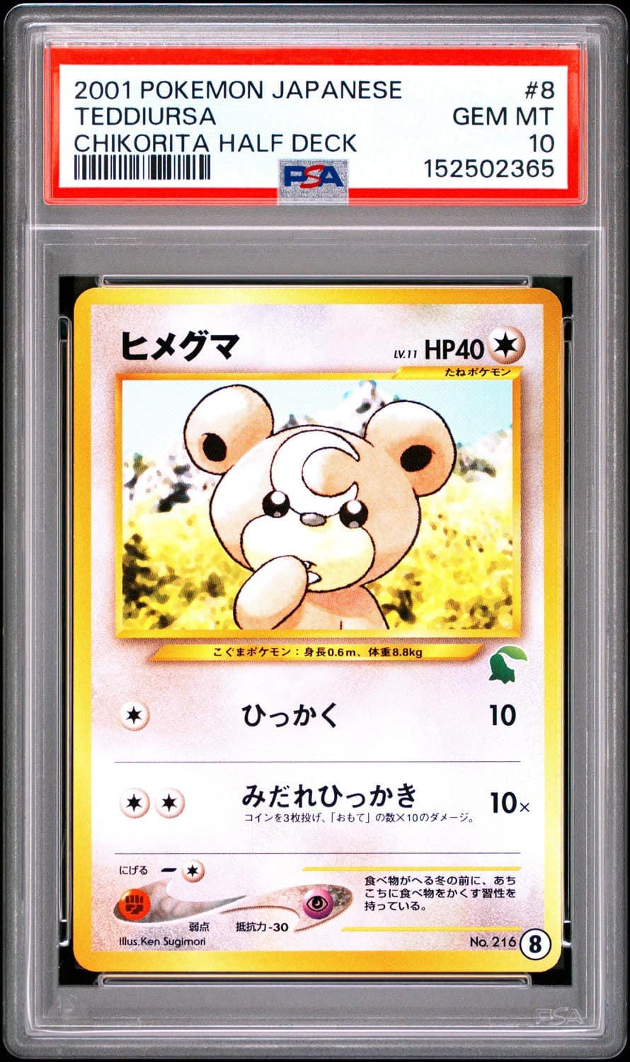 Teddiursa