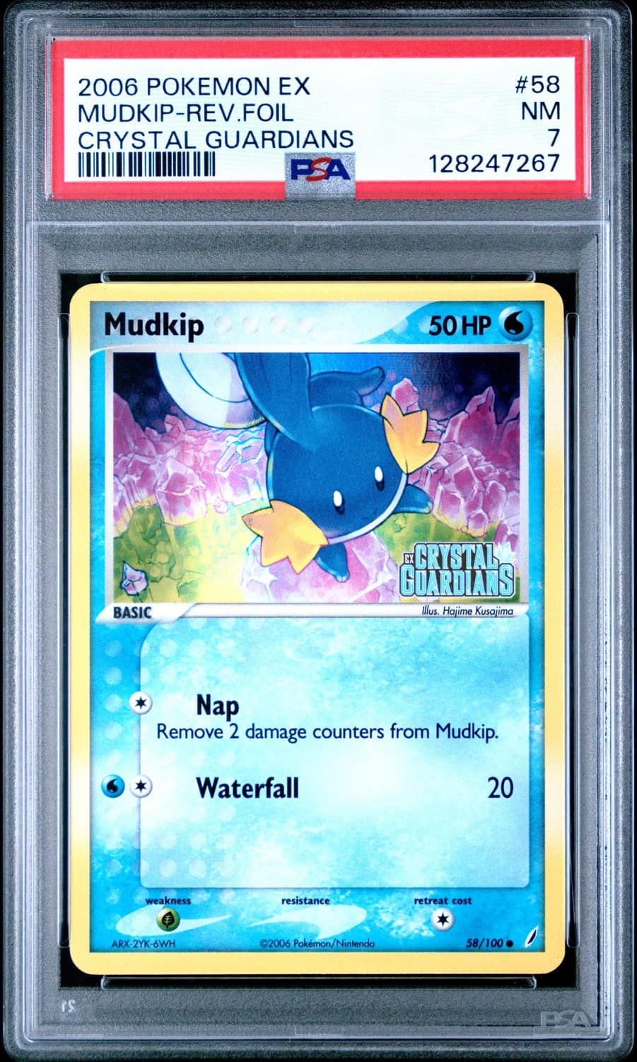 Mudkip