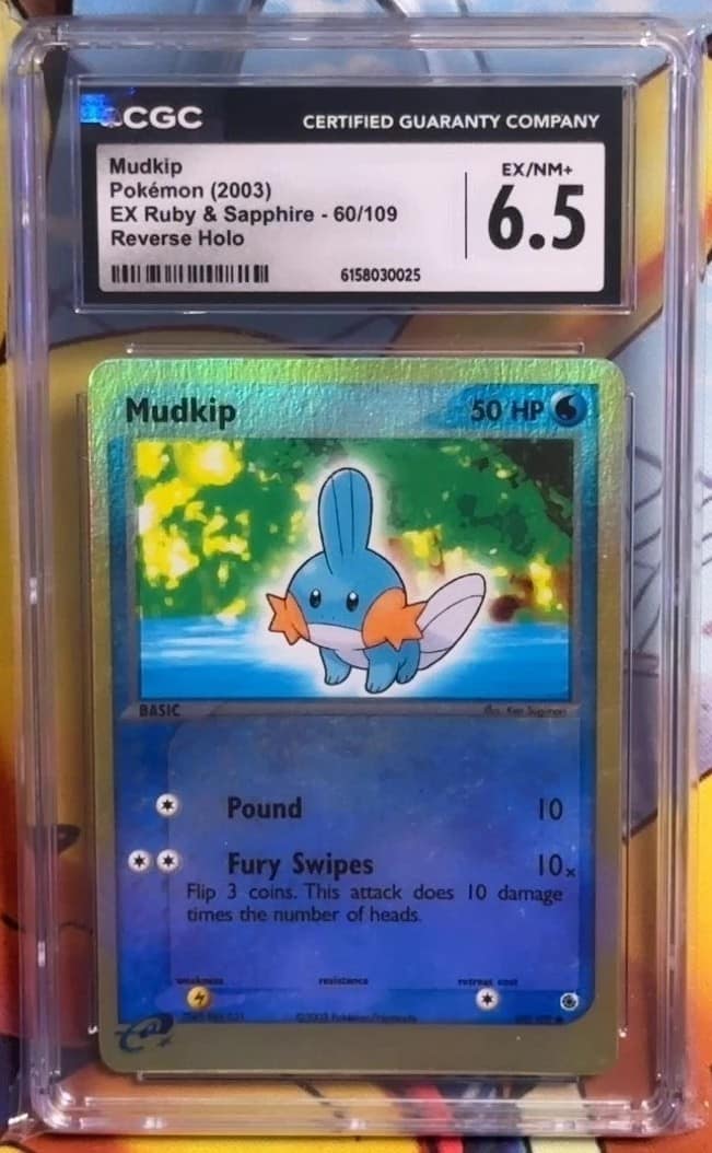 Mudkip