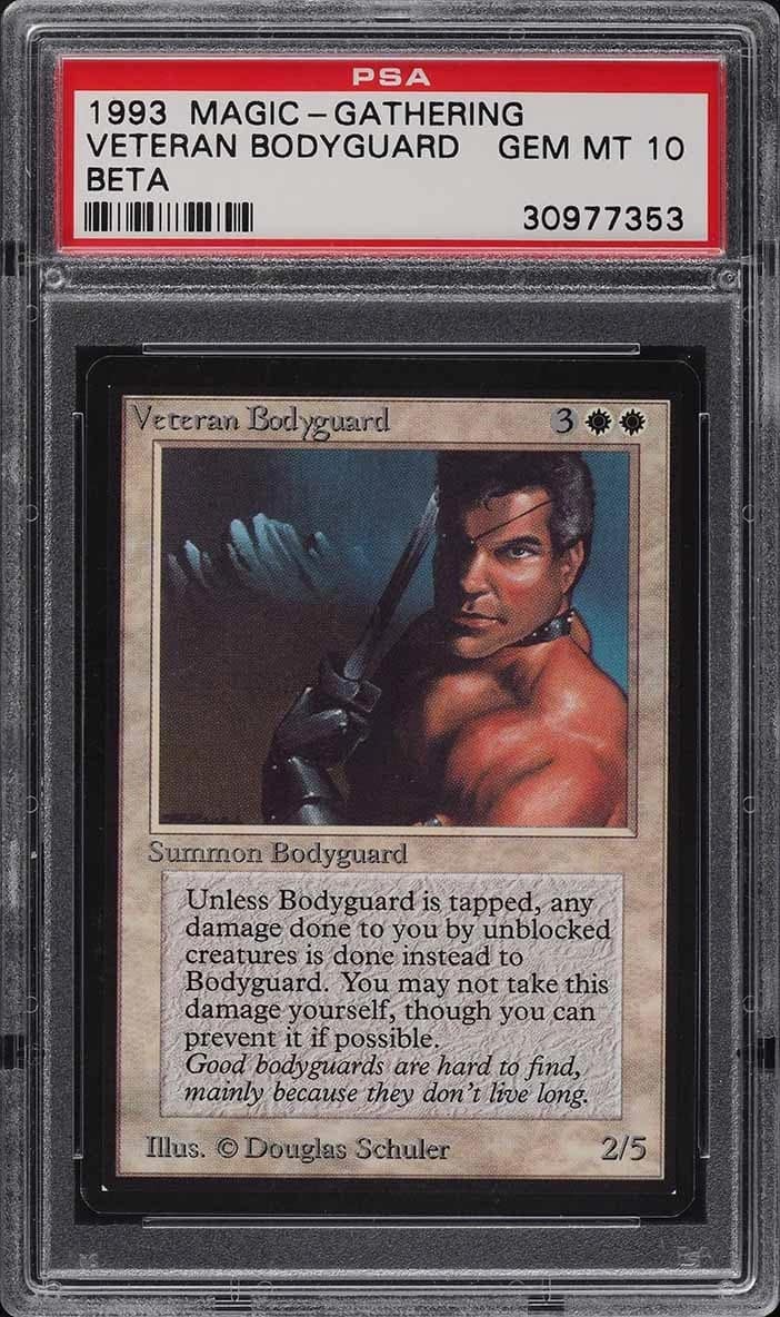 Veteran Bodyguard