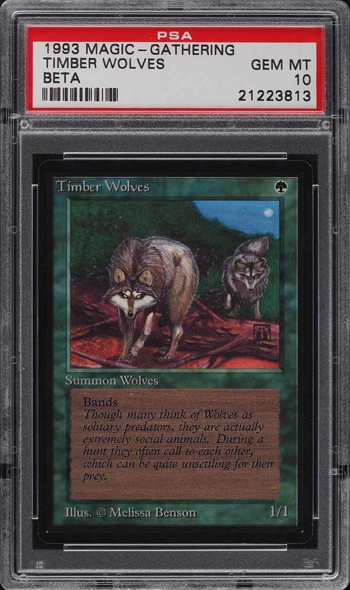 Timber Wolves