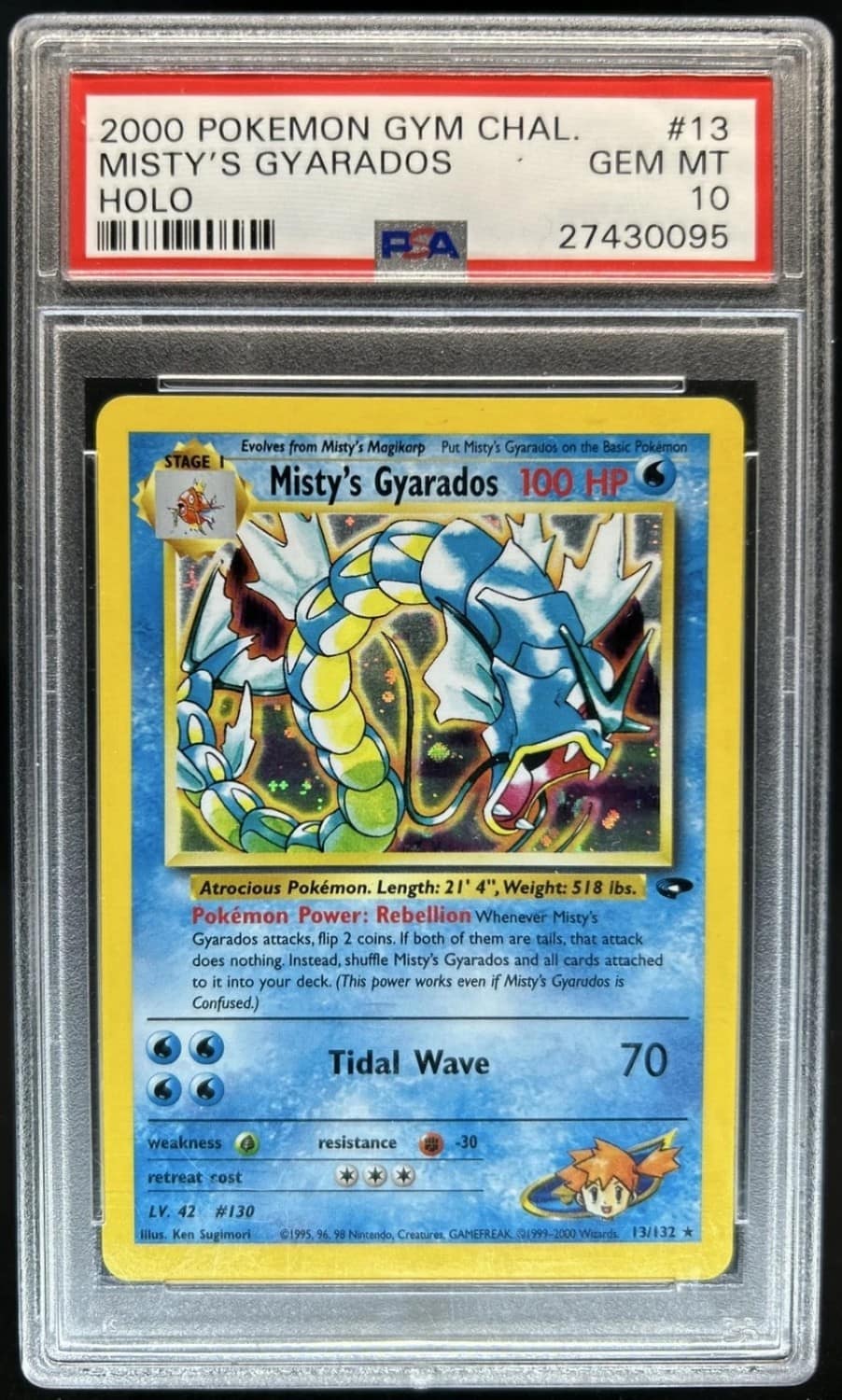Misty'S Gyarados