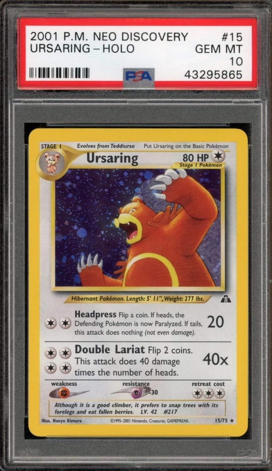 Ursaring