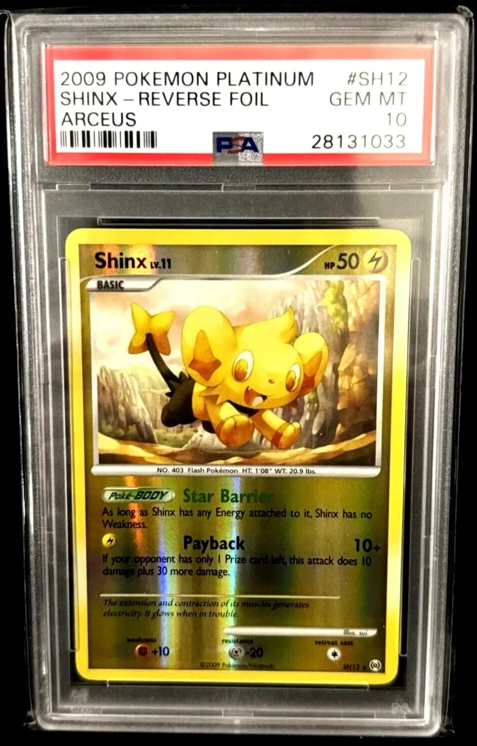 Shinx