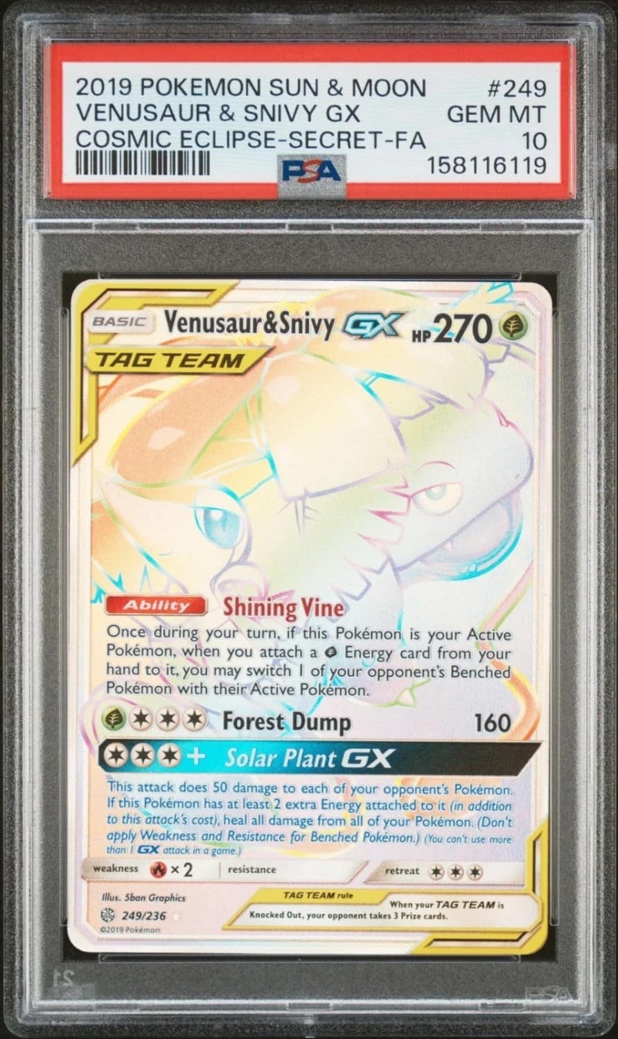 Venusaur & Snivy Gx