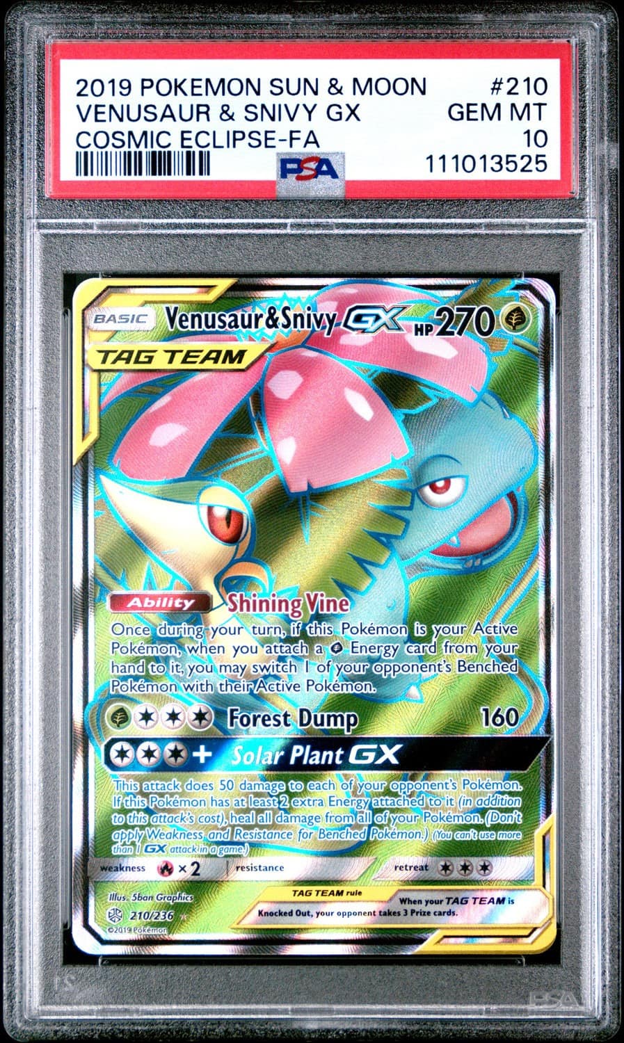 Venusaur & Snivy Gx