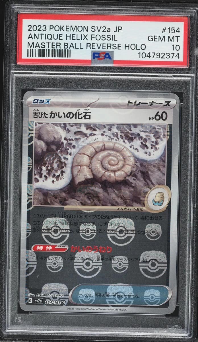 Antique Helix Fossil
