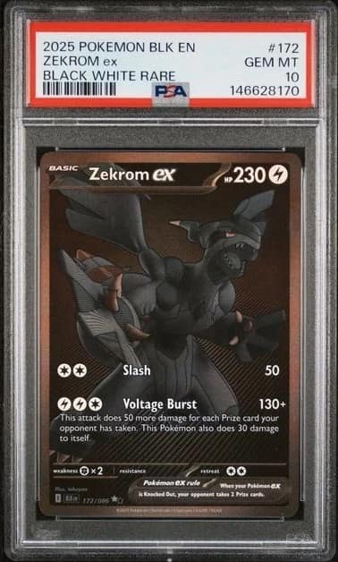 Zekrom Ex