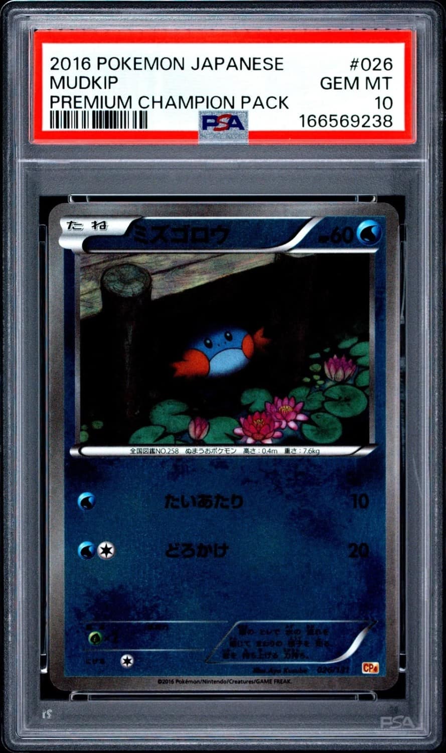 Mudkip