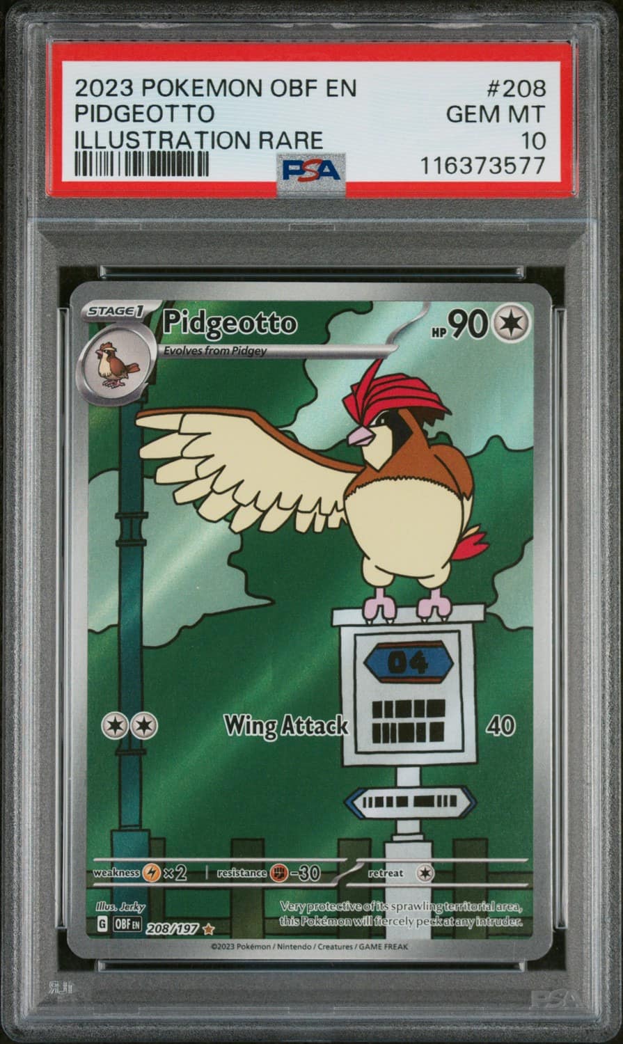 Pidgeotto
