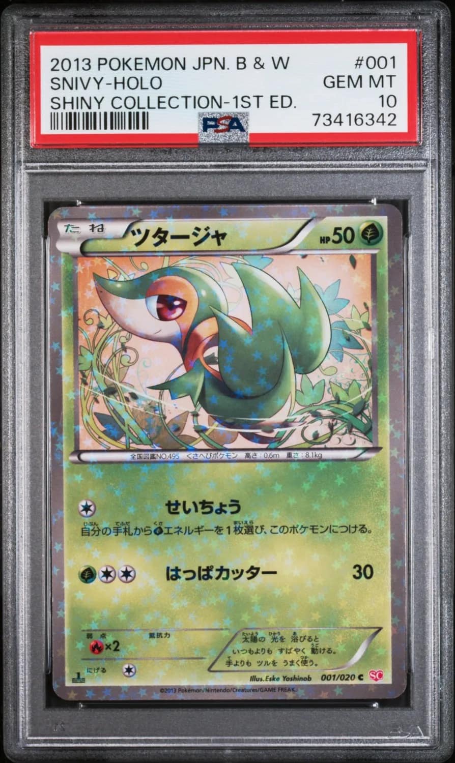 Snivy