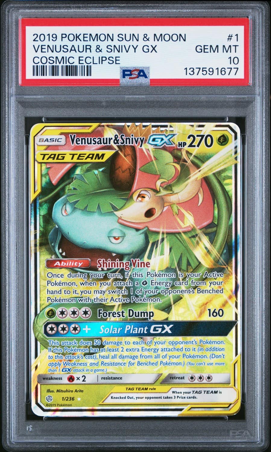 Venusaur & Snivy Gx