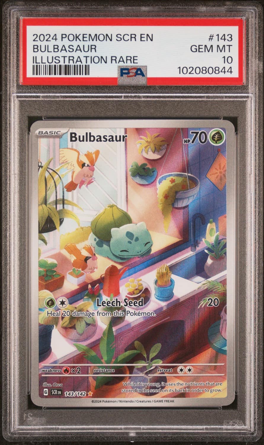 Bulbasaur