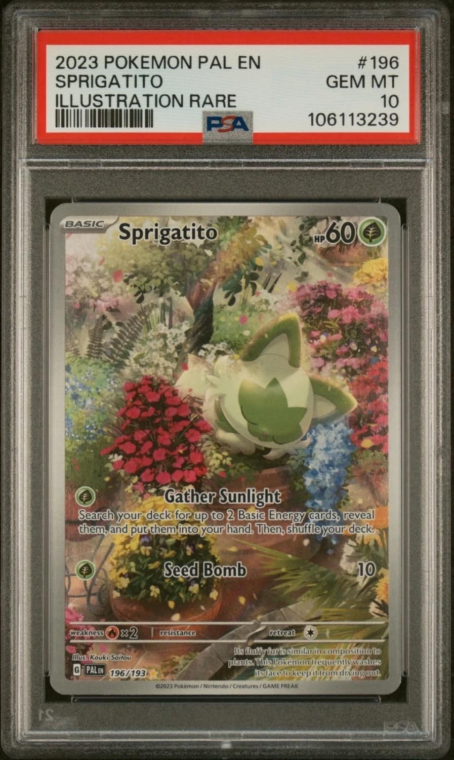 Sprigatito
