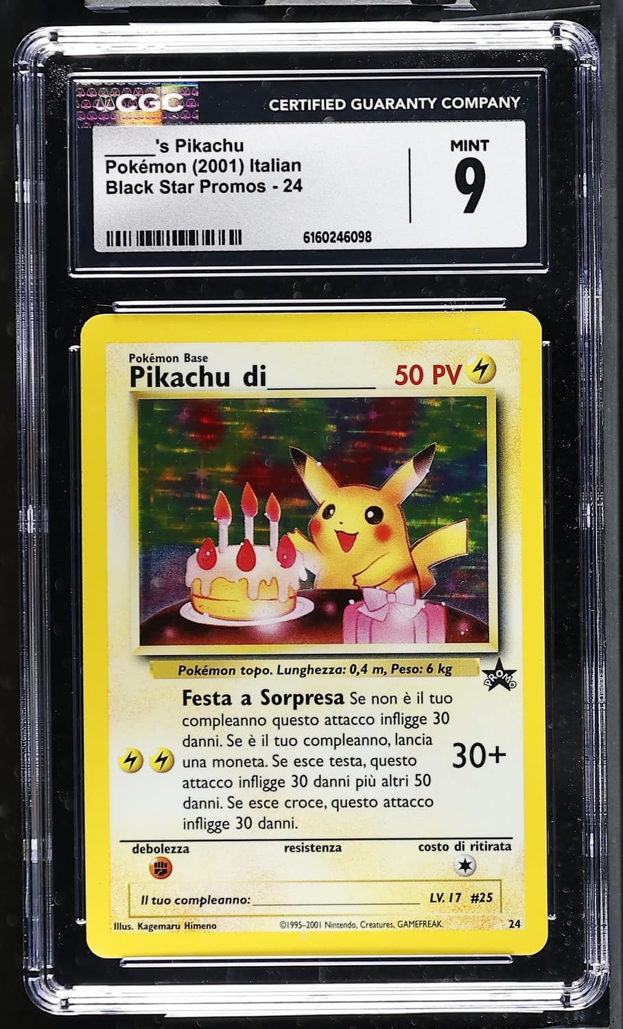 _____'S Pikachu