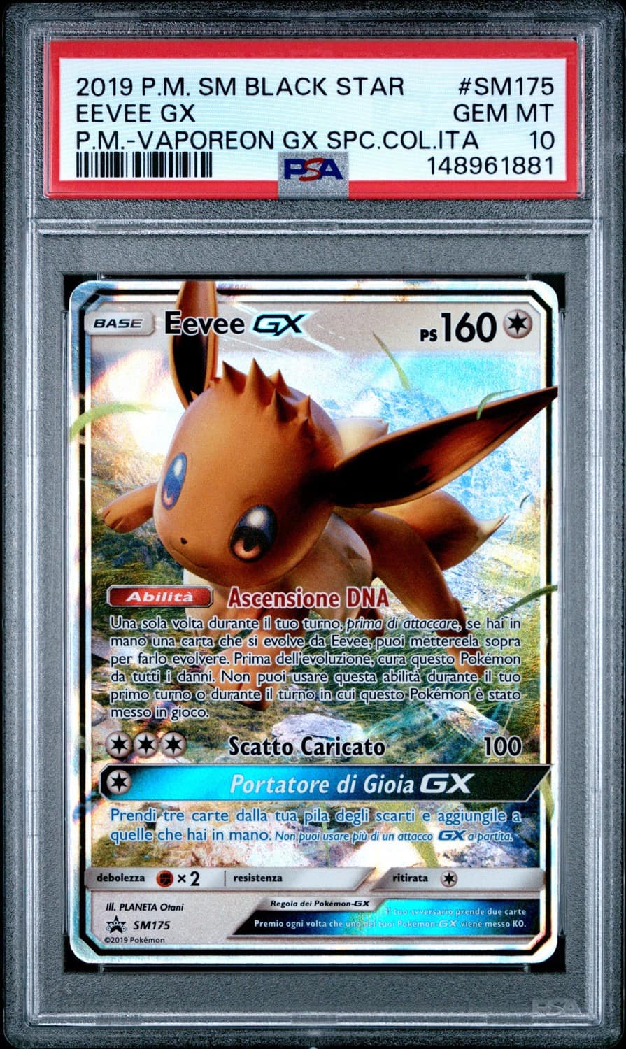 Eevee Gx