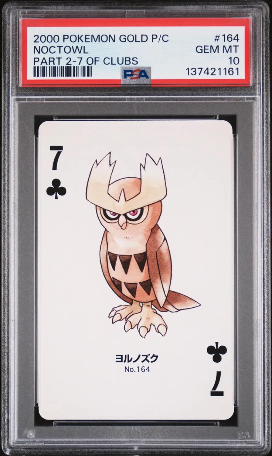Noctowl