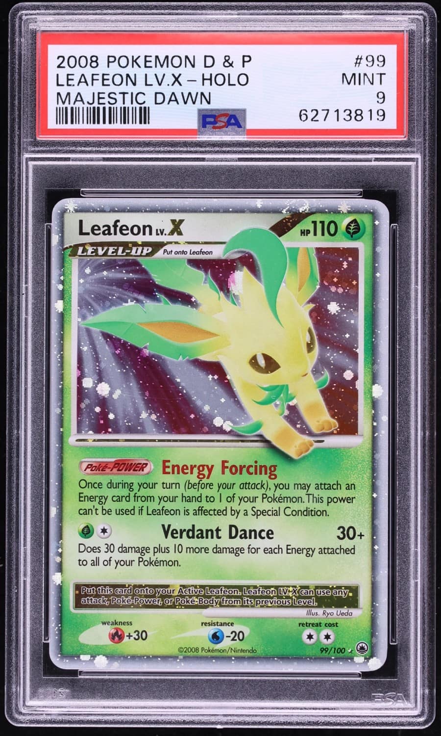 Leafeon Lv X