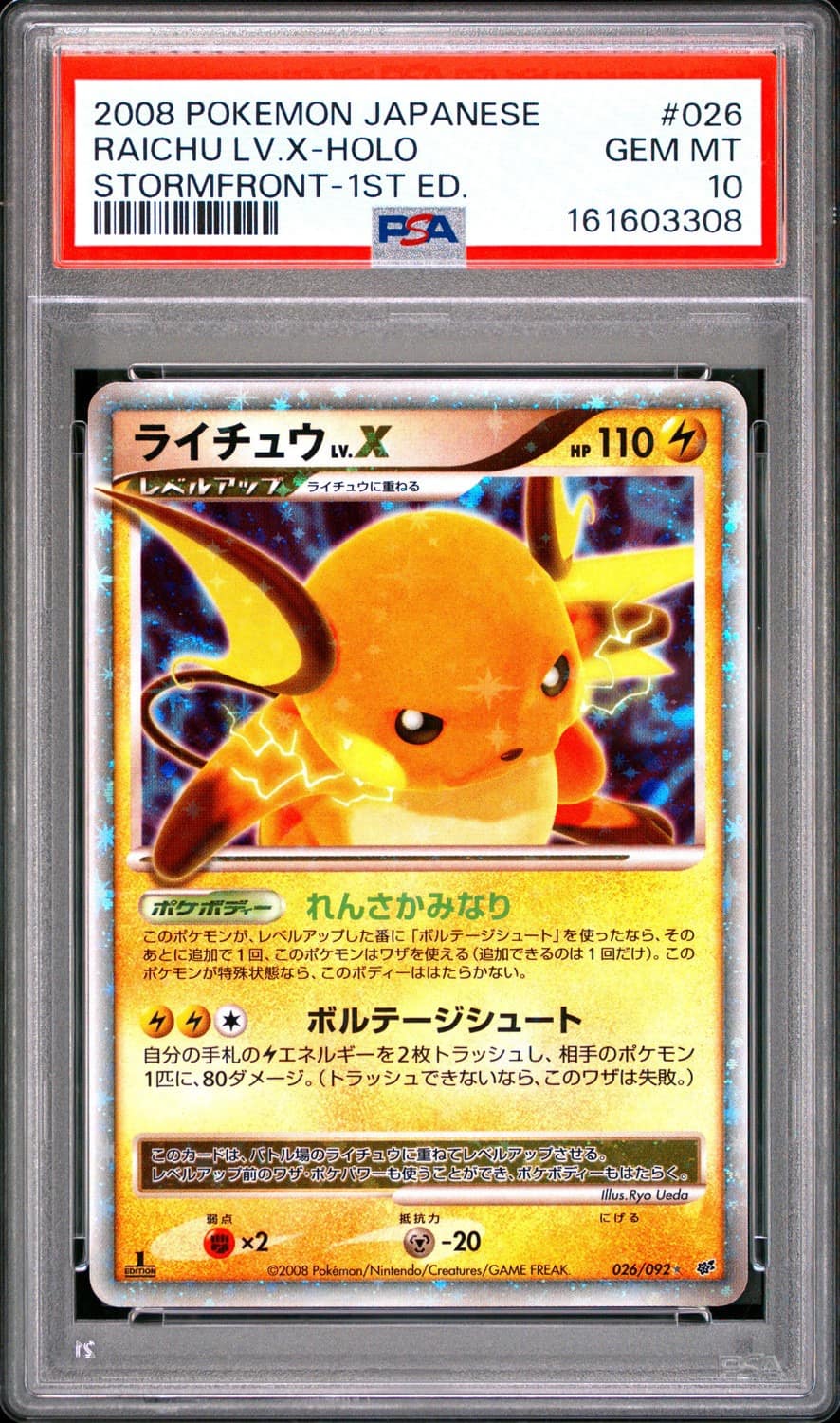 Raichu Lv.x