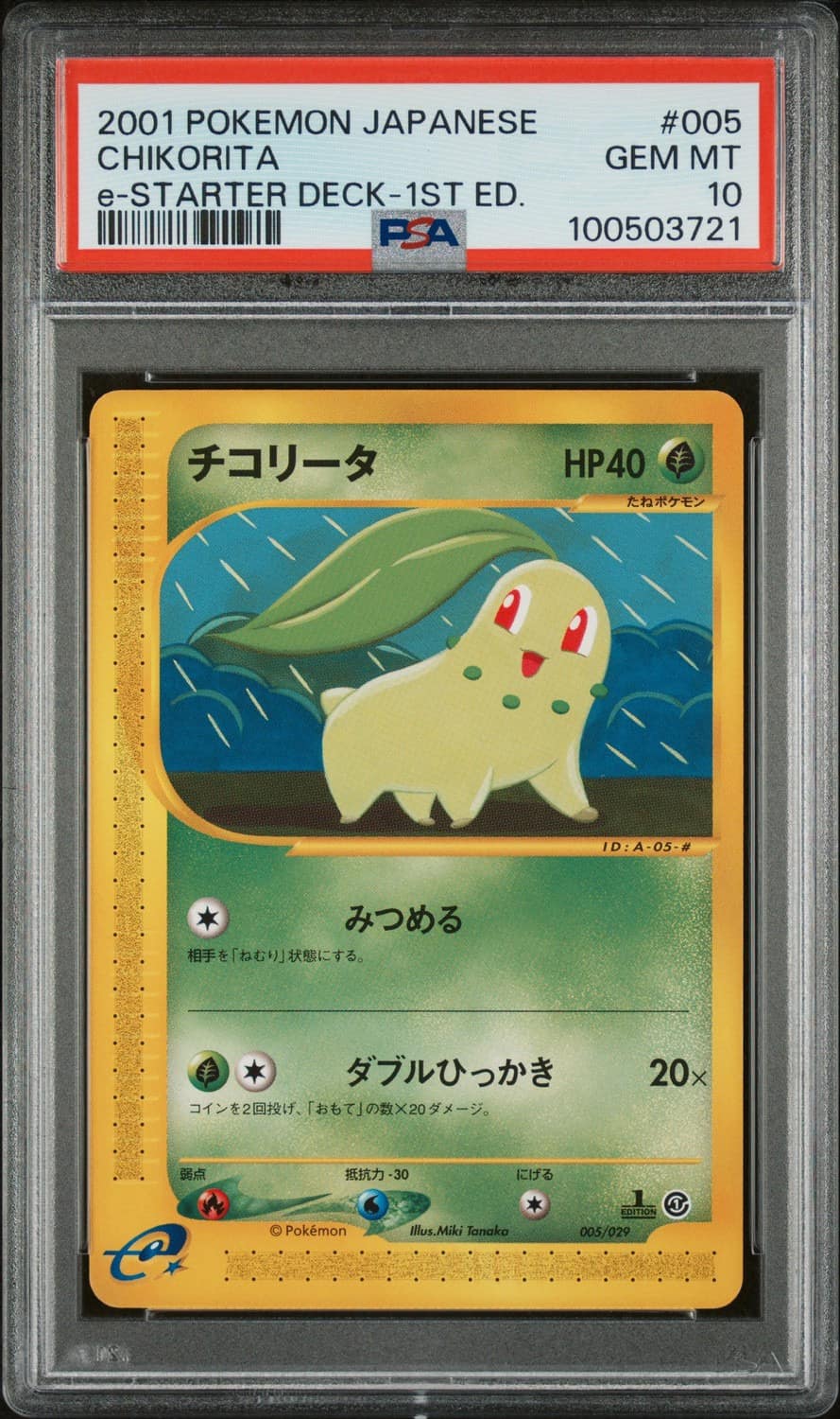 Chikorita