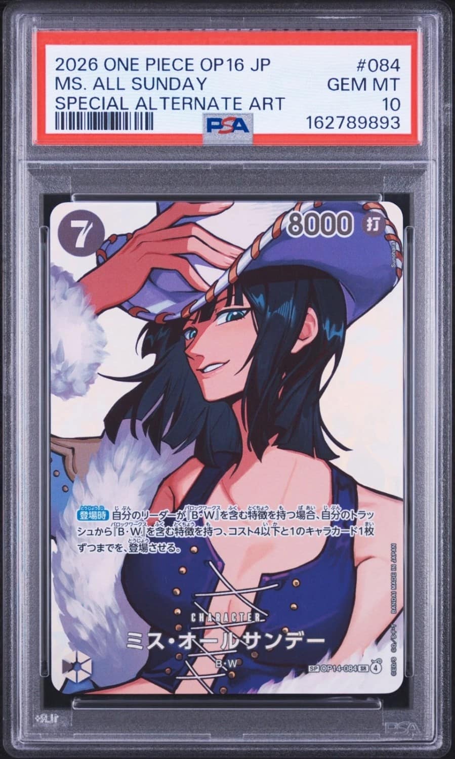 Ms. All Sunday Sp