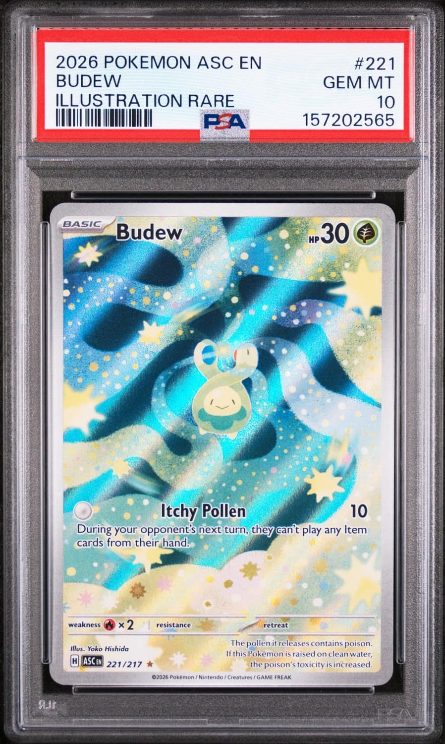 Budew