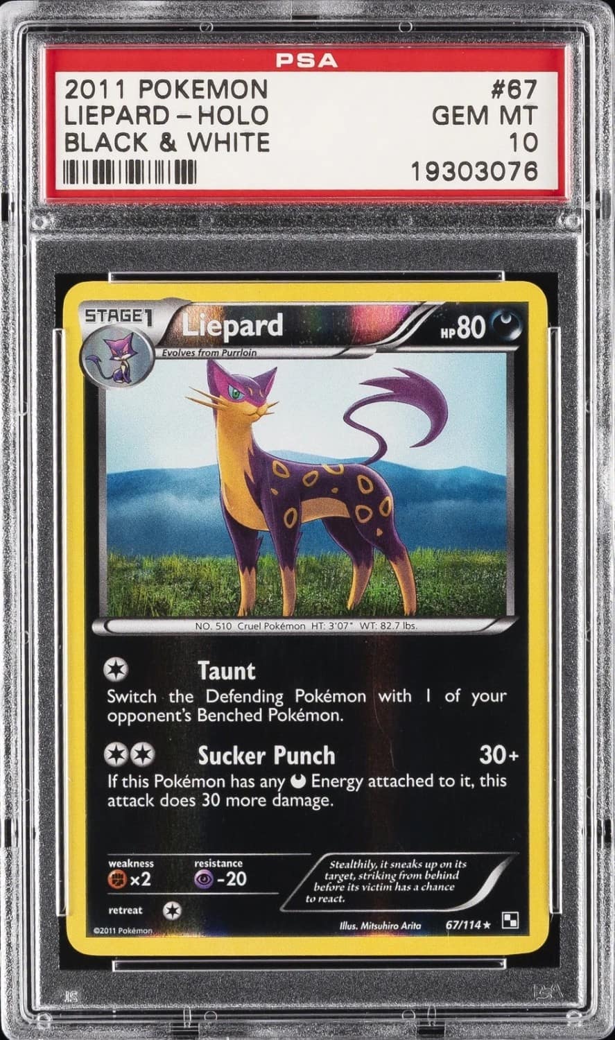 Liepard-Rev.foil