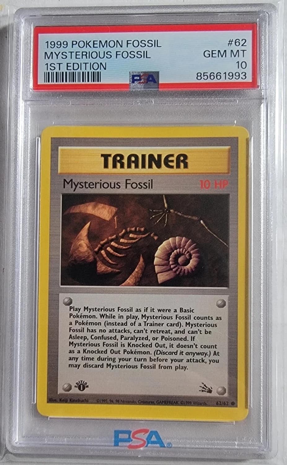 Mysterious Fossil