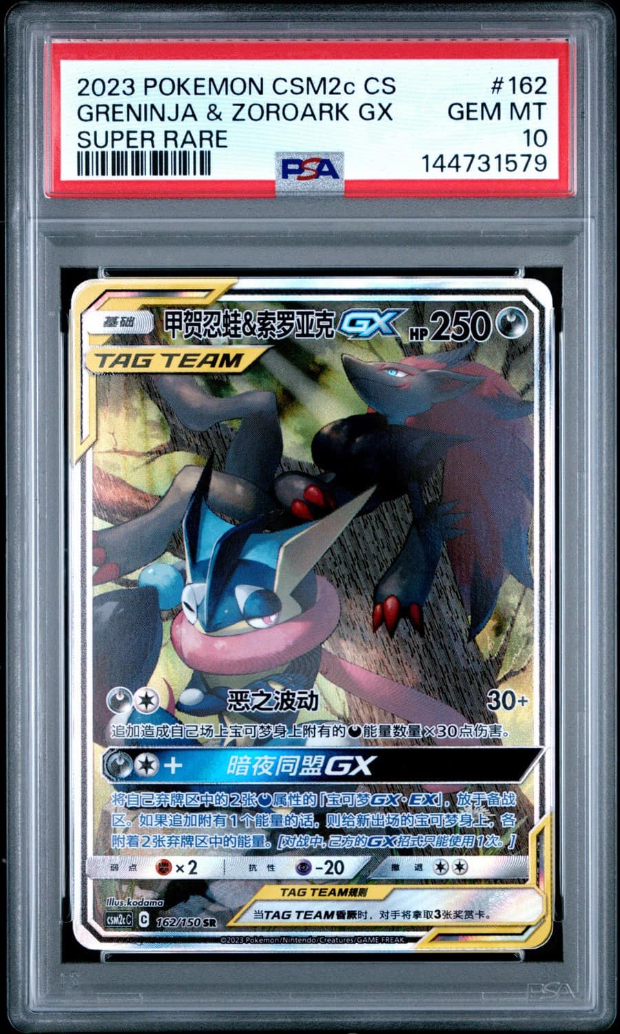 Greninja & Zoroark Gx