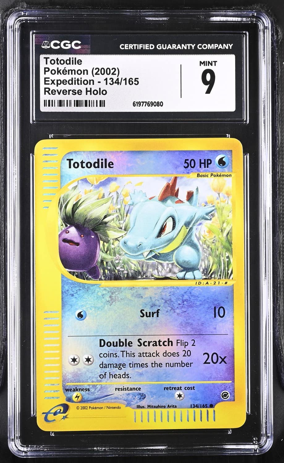 Totodile