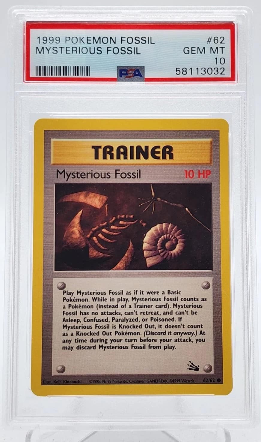 Mysterious Fossil
