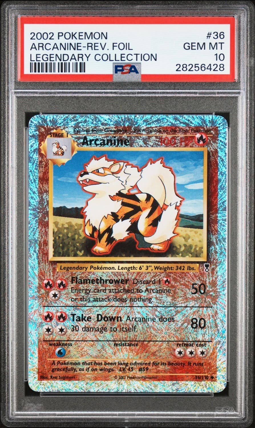 Arcanine