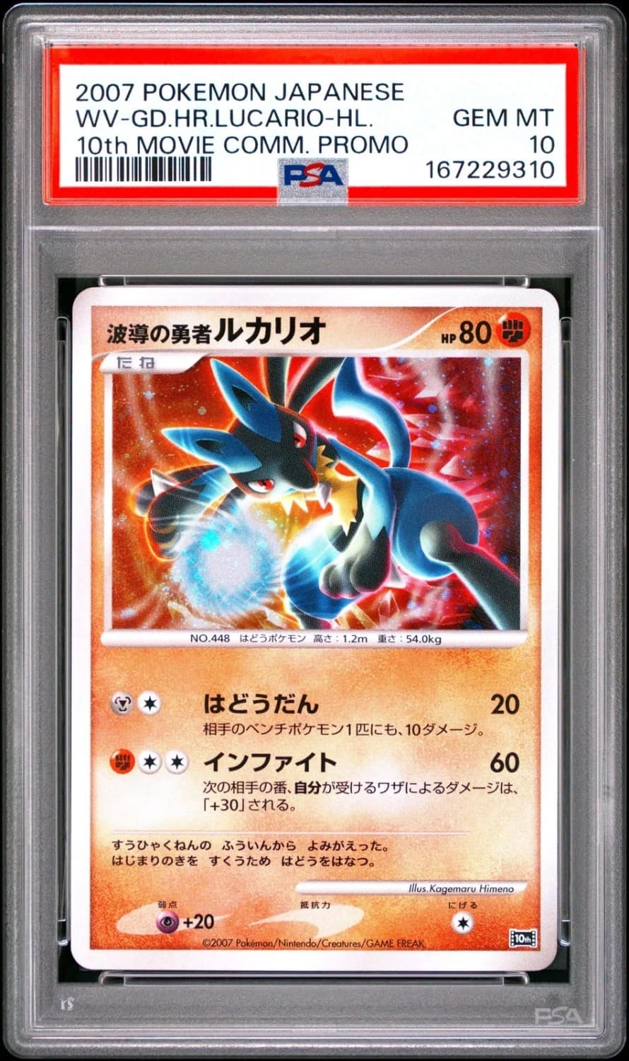 Wave-Guiding Hero Lucario
