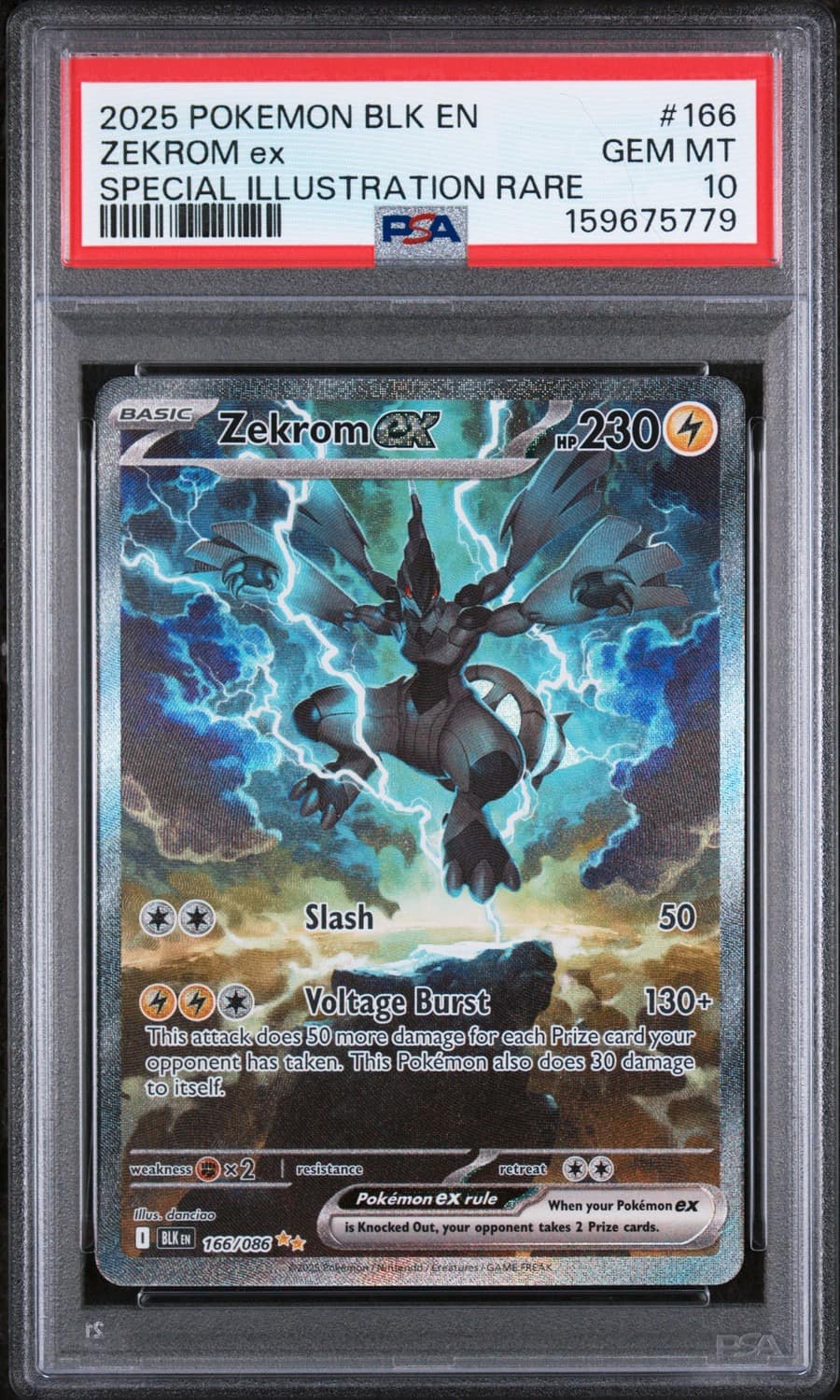 Zekrom Ex