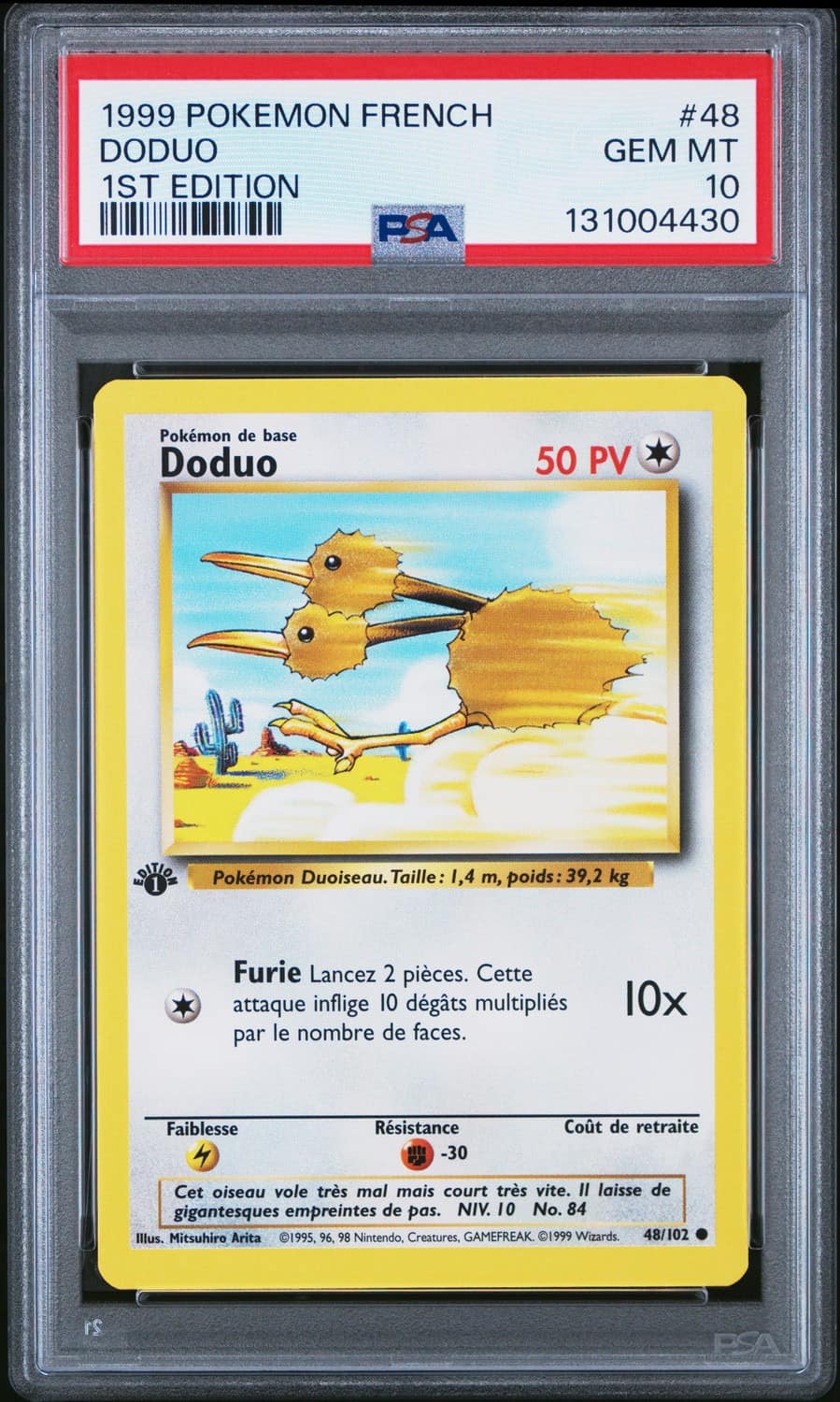 Doduo