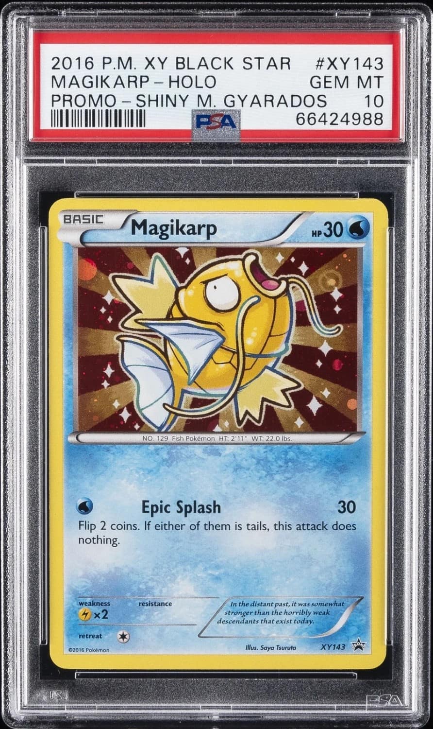 Magikarp