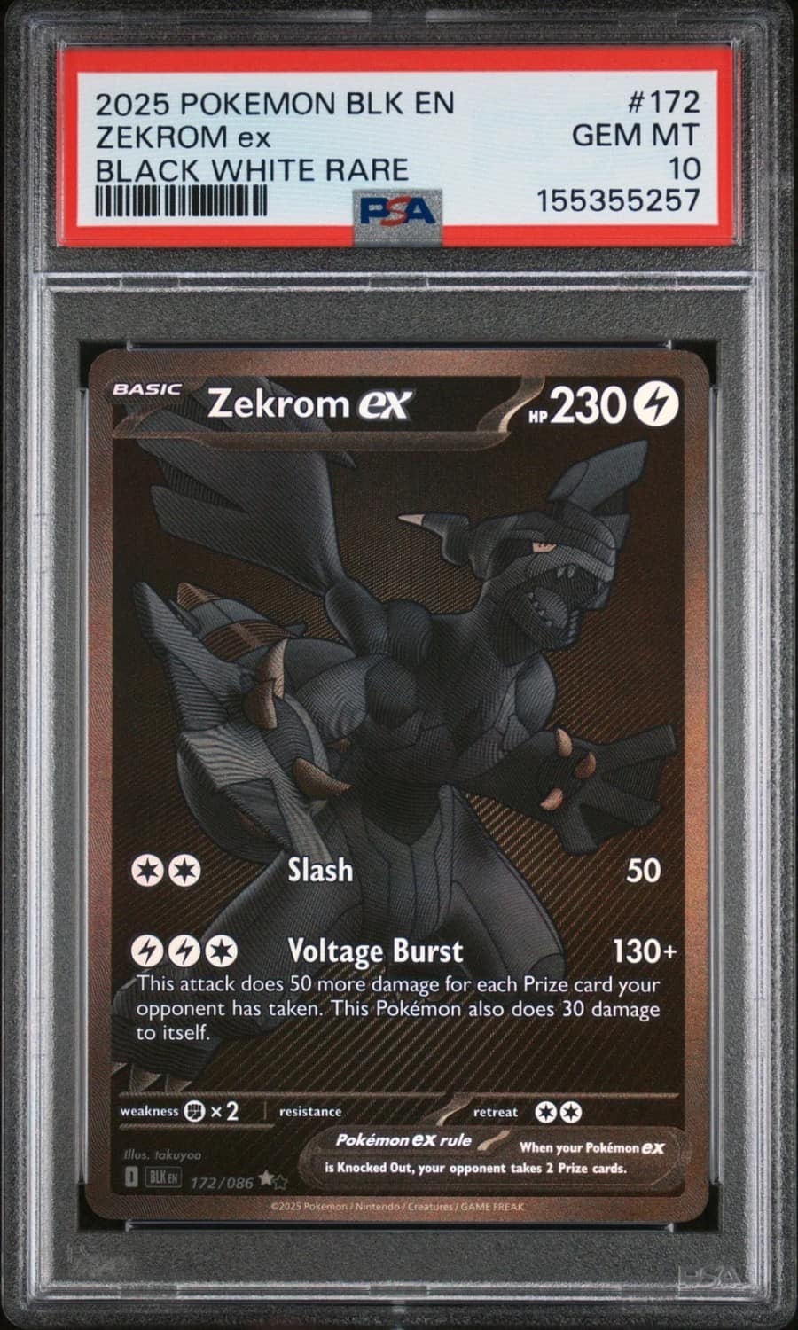 Zekrom Ex