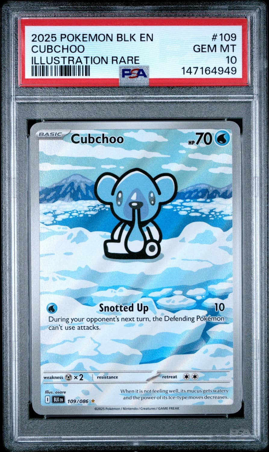 Cubchoo