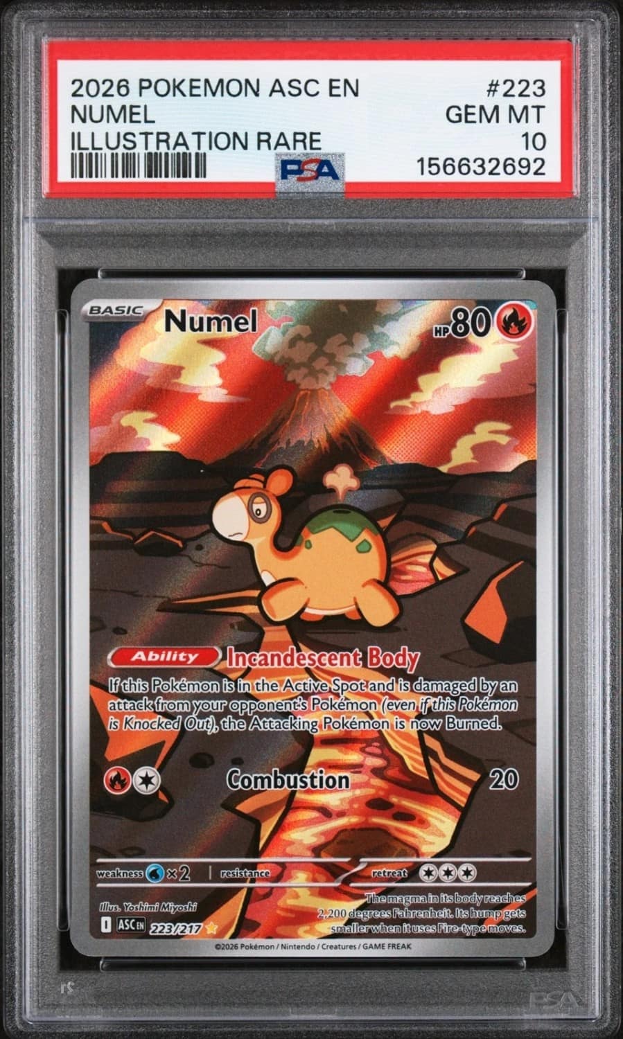 Numel