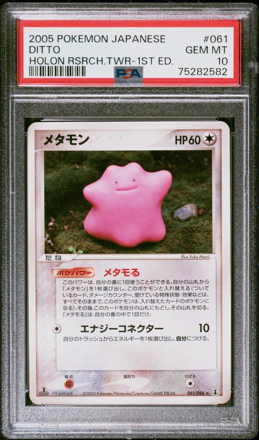 Ditto