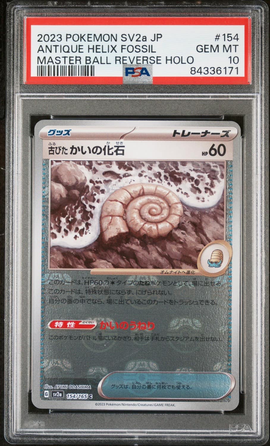 Antique Helix Fossil