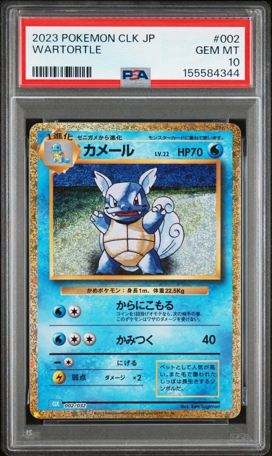 Wartortle