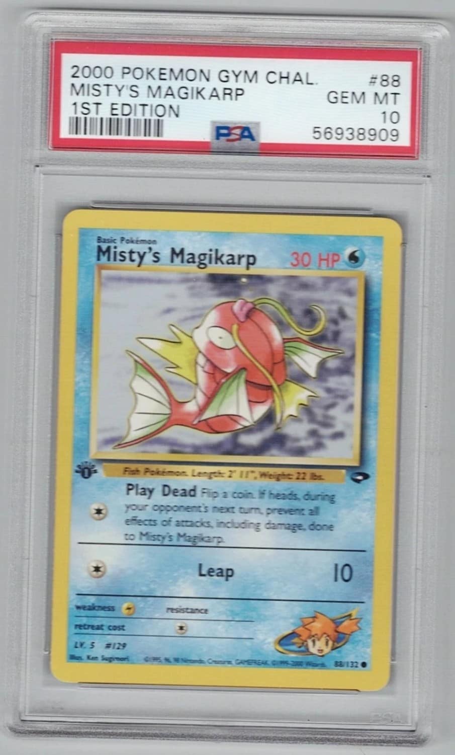 Misty'S Magikarp