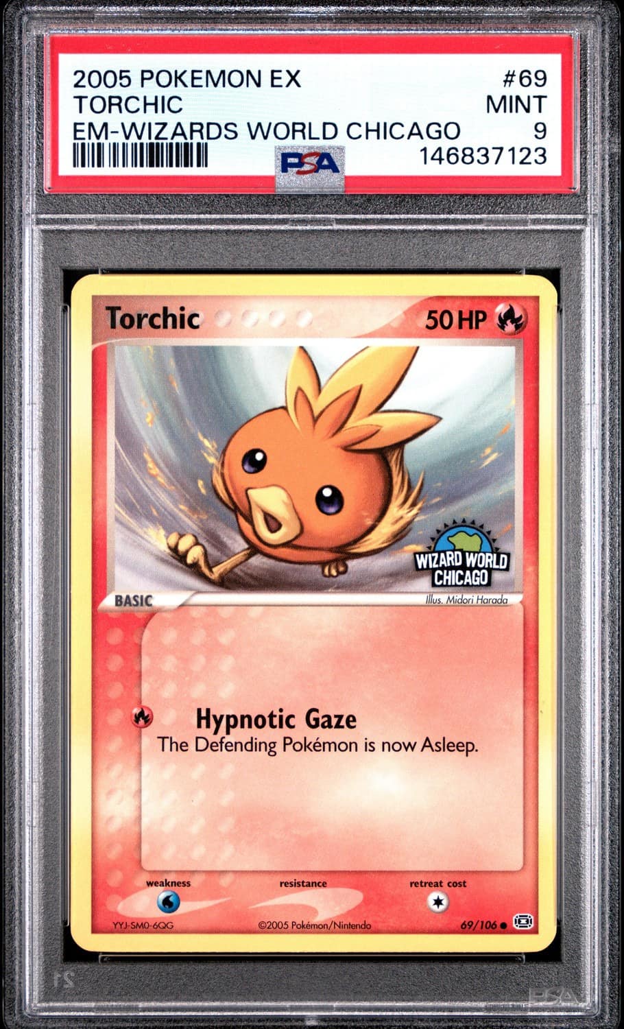 Torchic