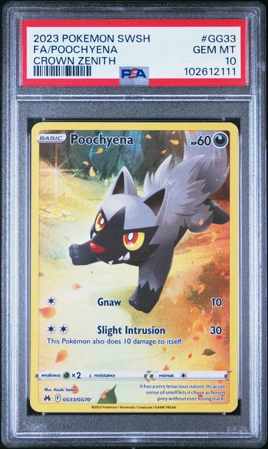 Poochyena