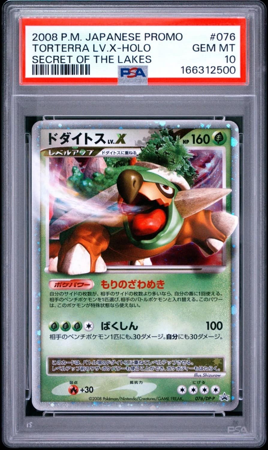 Torterra Lv X